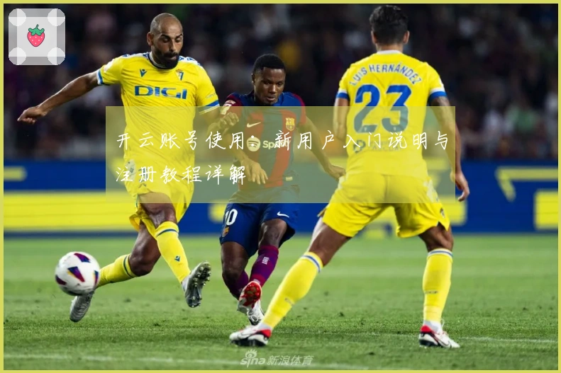 开云账号使用:新用户入门说明与注册教程详解